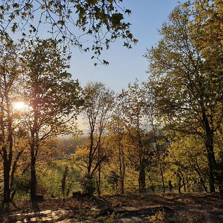 Quinta Essencias فيلة *