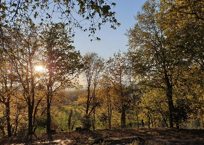 Quinta Essencias Villa *