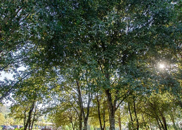 Quinta Essencias Villa